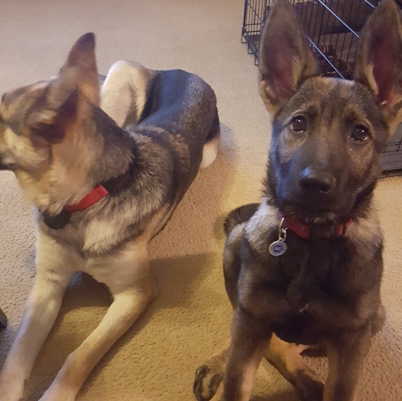 Meet your Posher, Katina - Picture 4 of 8